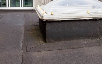 disadvantages of Dallicott flat roofs